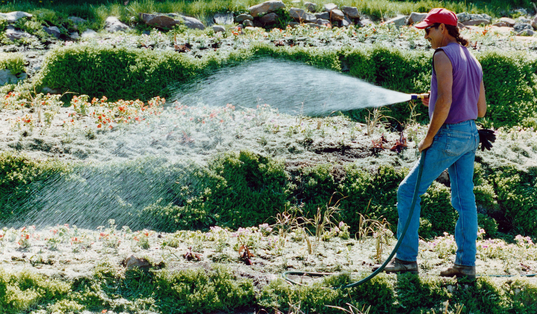 Sunken Gardens 1995